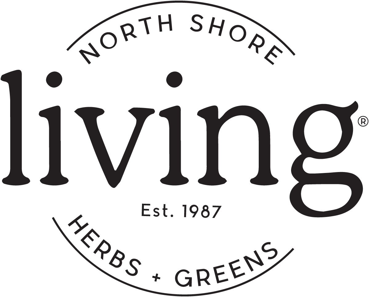 Shop North Shore Living
