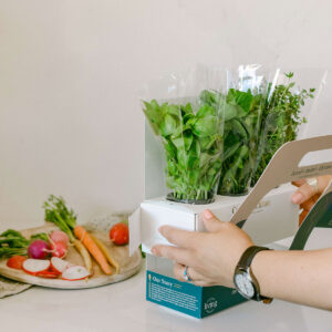 Counter Culture - Image 4